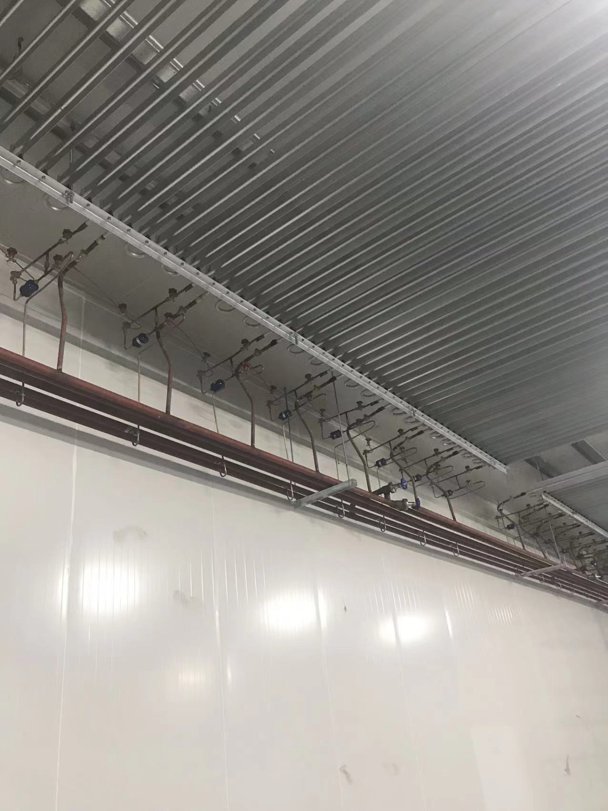Nantong Cold Storage 10000m 3